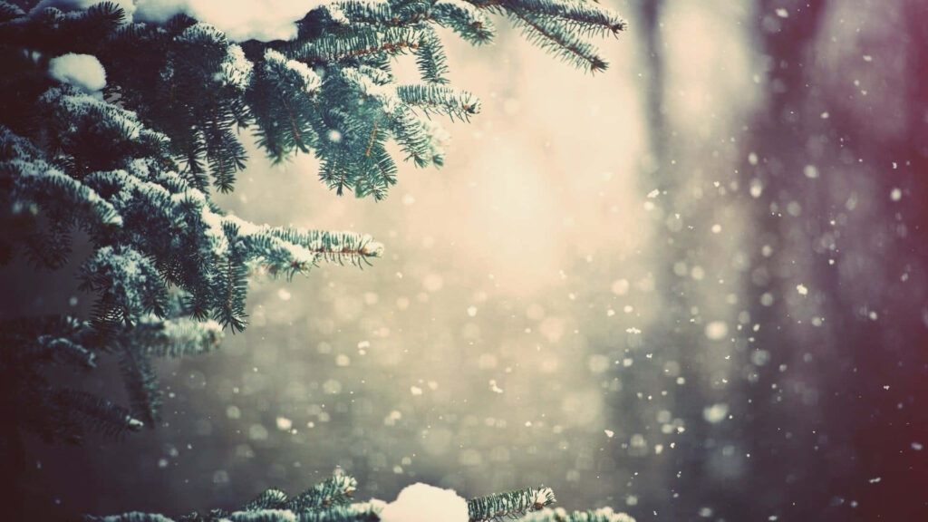 Tranquil Winter Wallpaper: Snowy Evergreens & Soft Vintage Charm