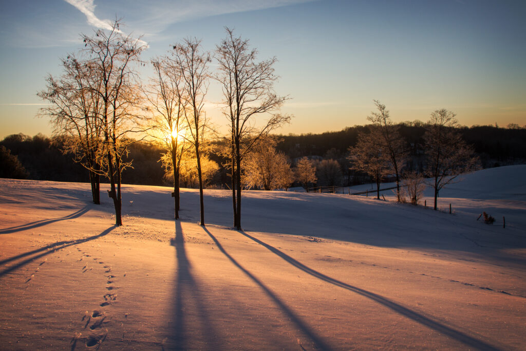 Serene winter dusk landscape with bare trees and long shadows over snow-covered field wallpaper