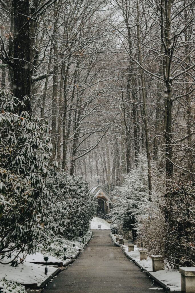 Serene winter footpath with bare trees and snow leading to a charming church background wallpaper