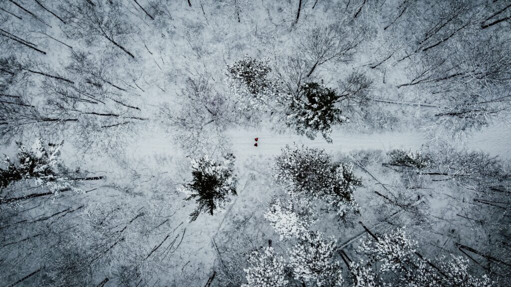 Aerial view of snow-covered winter forest with narrow path and two walkers in peaceful landscape Wallpaper