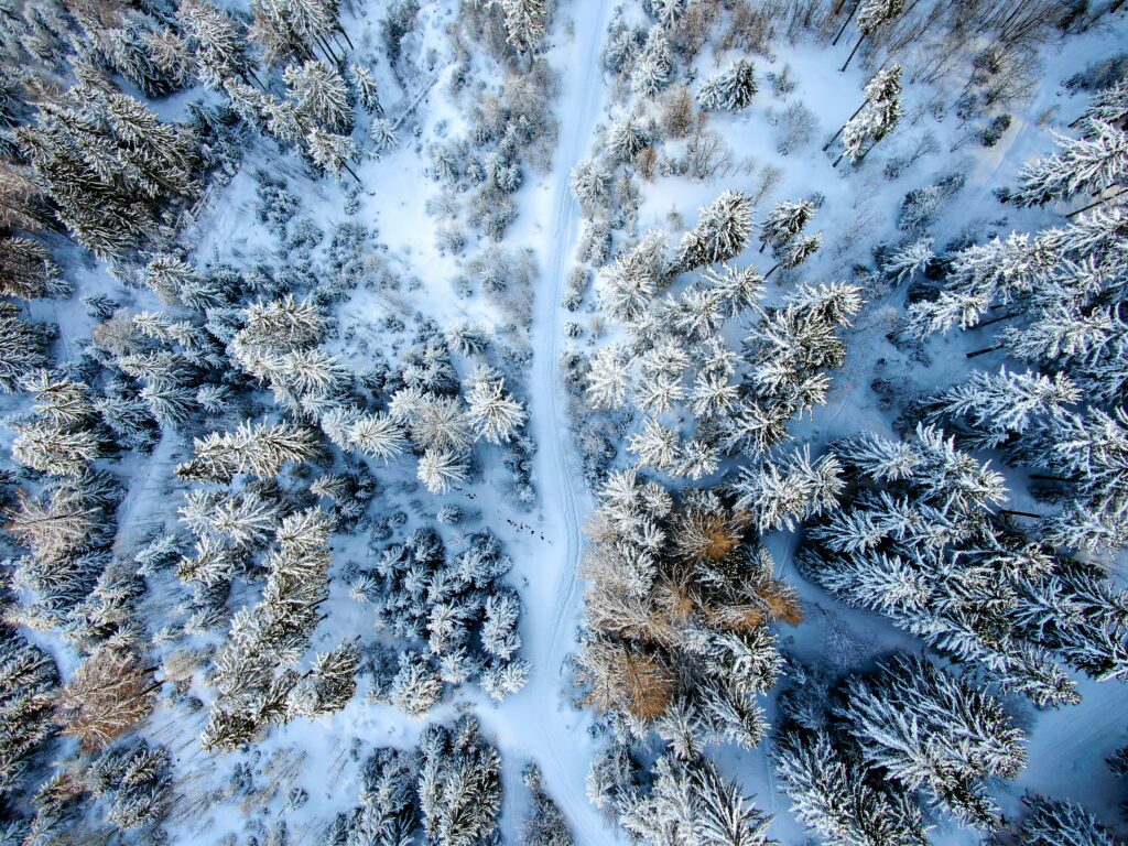 Aerial view of snowy winter forest with winding road through frosted trees in serene landscape Wallpaper