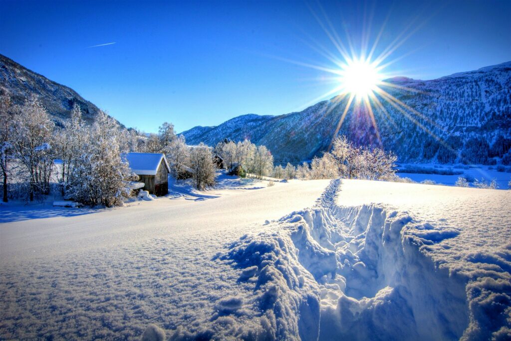 Winter forest landscape at dawn with fresh snow frosted trees and soft sunlight over mountains Wallpaper