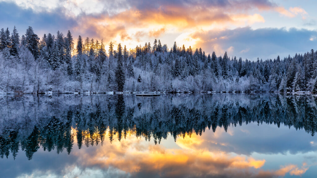 Winter forest with snow-covered trees reflected in a calm lake under a colorful sunset sky Wallpaper