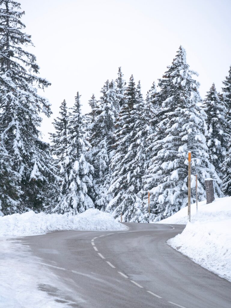 Winding snowy road through tall spruce trees in a peaceful winter forest landscape wallpaper