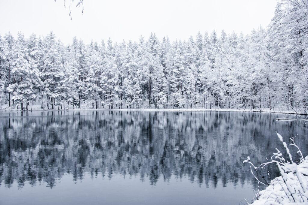 Serene snow-covered winter forest reflected in calm dark lake water peaceful landscape wallpaper