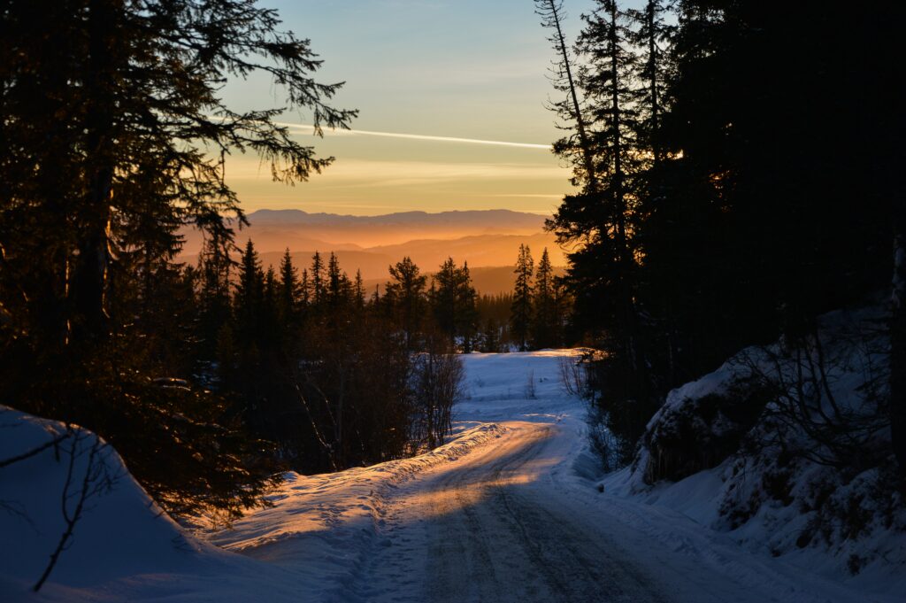 Serene winter forest sunset with snow-covered winding road and warm golden light background Wallpaper