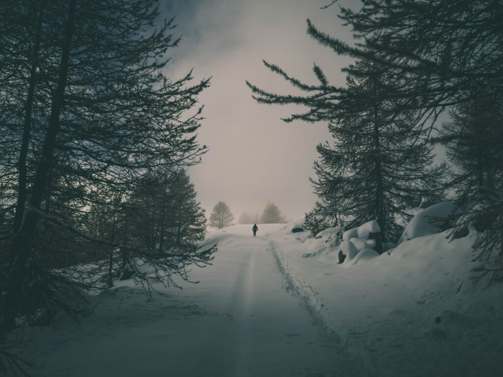 Lone silhouette walking through snow-covered forest with tall trees in serene winter scene Wallpaper