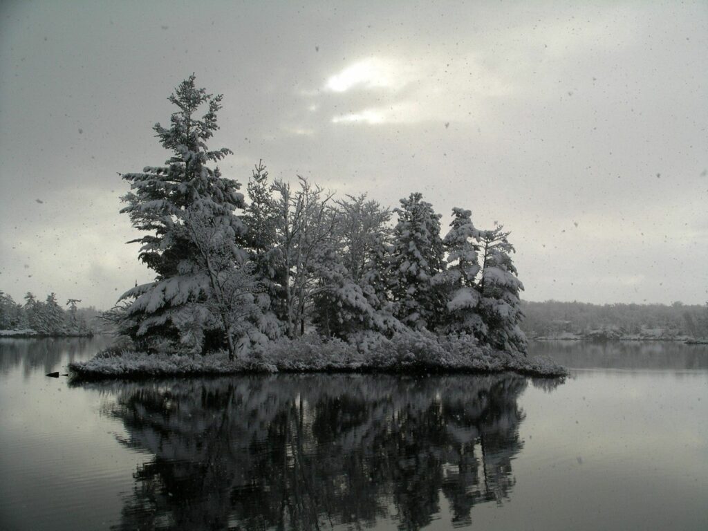 Snow-covered trees on island reflected in calm river under misty sky serene winter landscape wallpaper