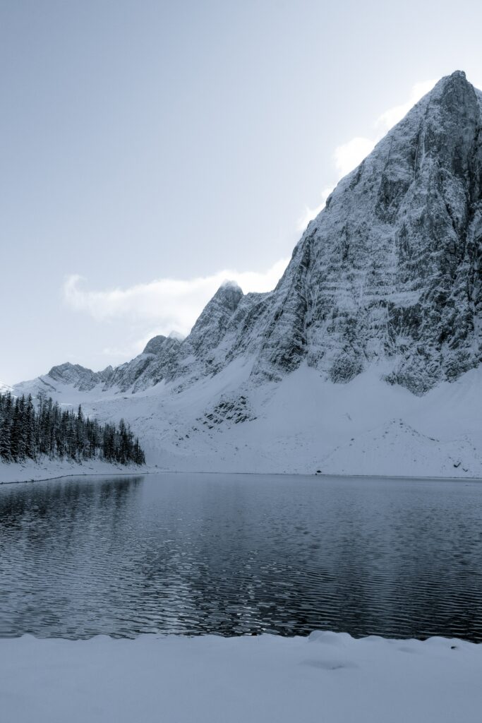 Serene winter lake reflecting snow-covered mountains and frosted trees under pale sky wallpaper