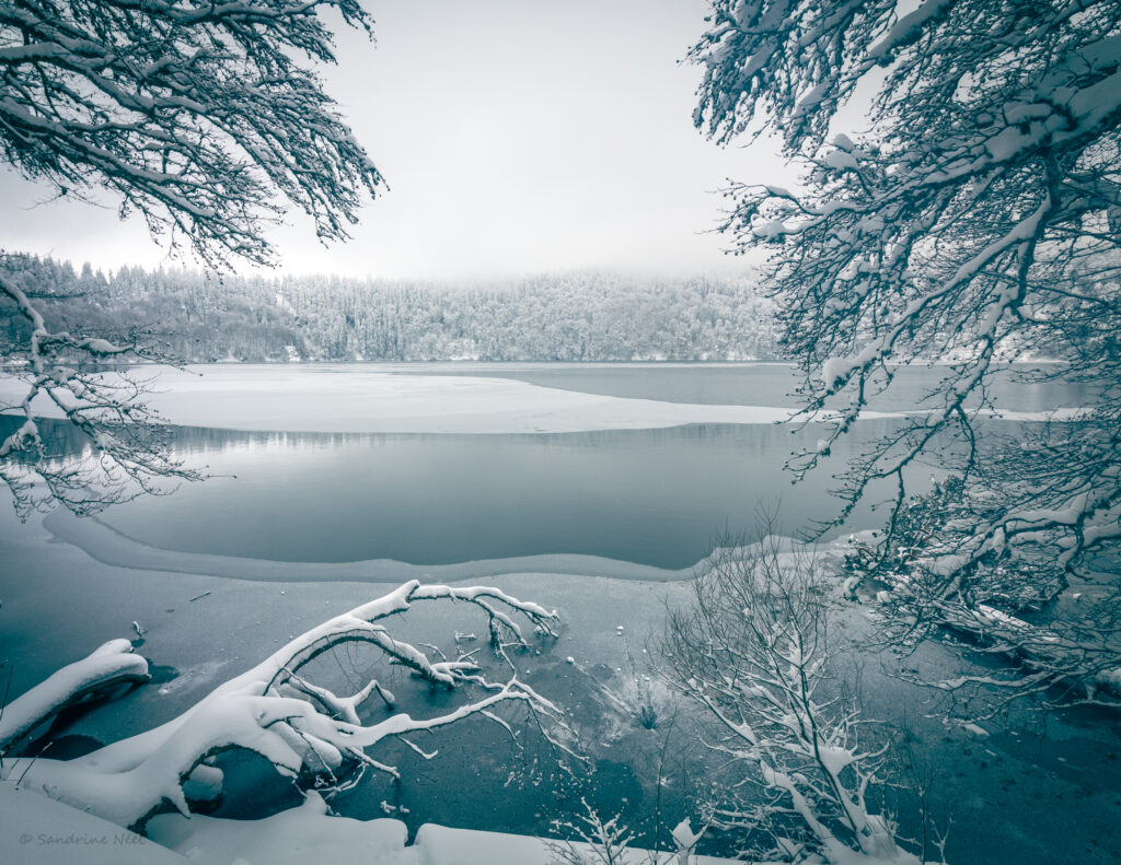 Serene winter lake with snow-covered trees misty atmosphere icy water peaceful landscape Wallpaper
