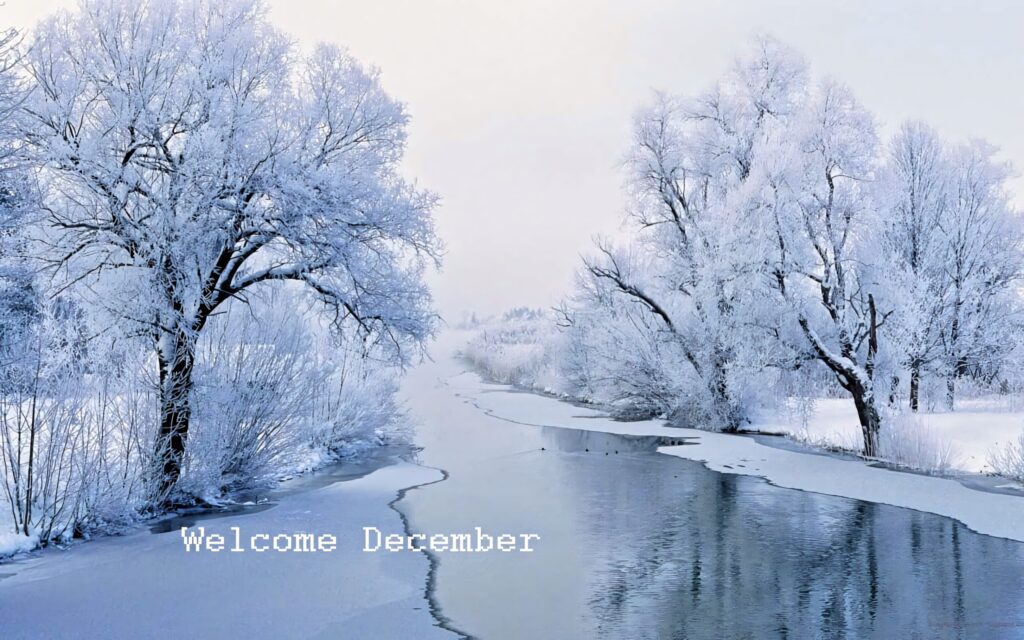 Serene winter lake with snow-covered trees reflecting icy water under pale sky winter wallpaper