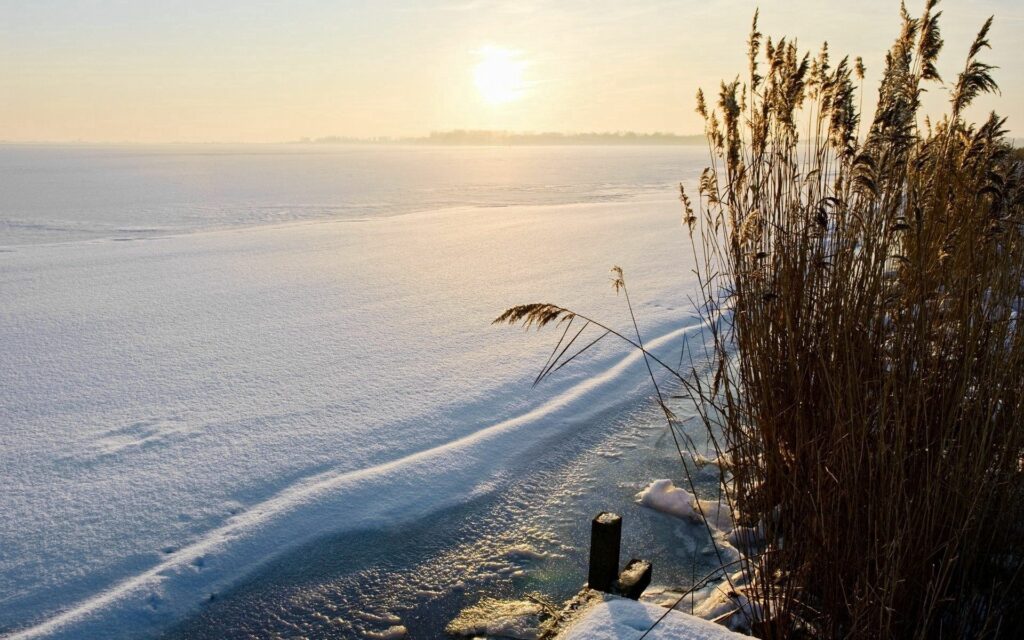 Winter lakeside scene with snow covered frozen water and golden reeds in soft sunlight Wallpaper