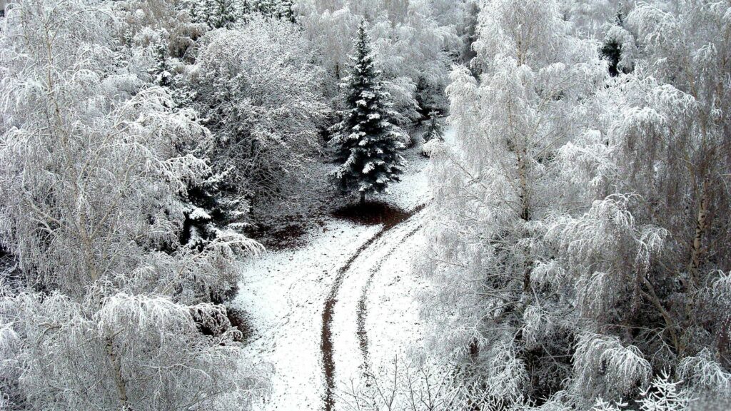 Aerial view of winding road through snow-covered frosty trees in serene winter landscape wallpaper