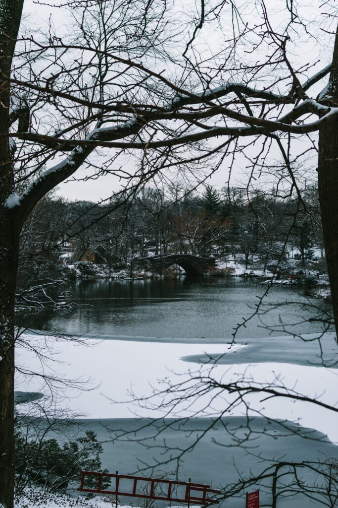 Tranquil Winter Landscape: Frozen River & Snowy Trees Wallpaper