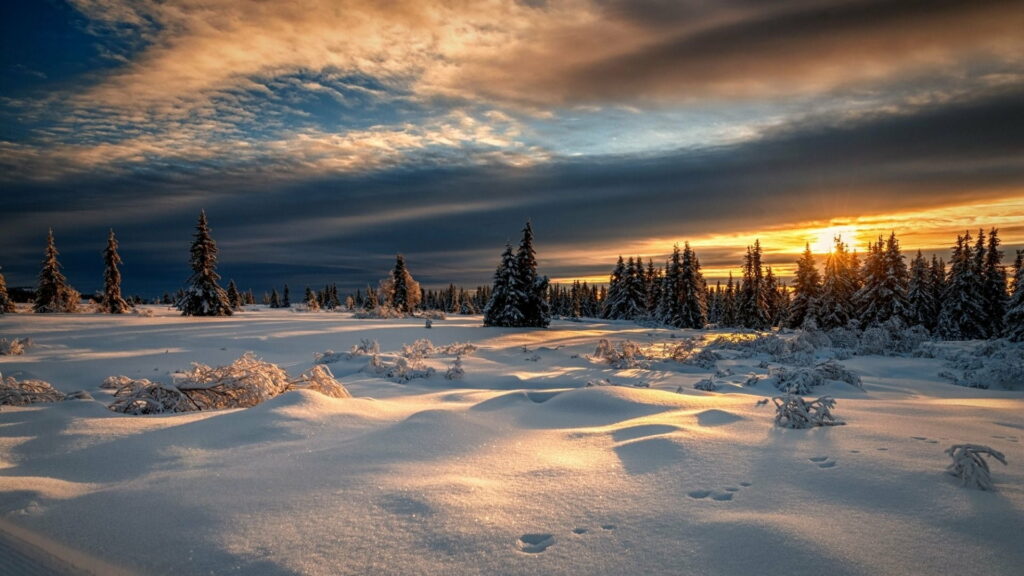 Serene Winter Landscape HD Wallpaper: Sunset, Snow, and Evergreens