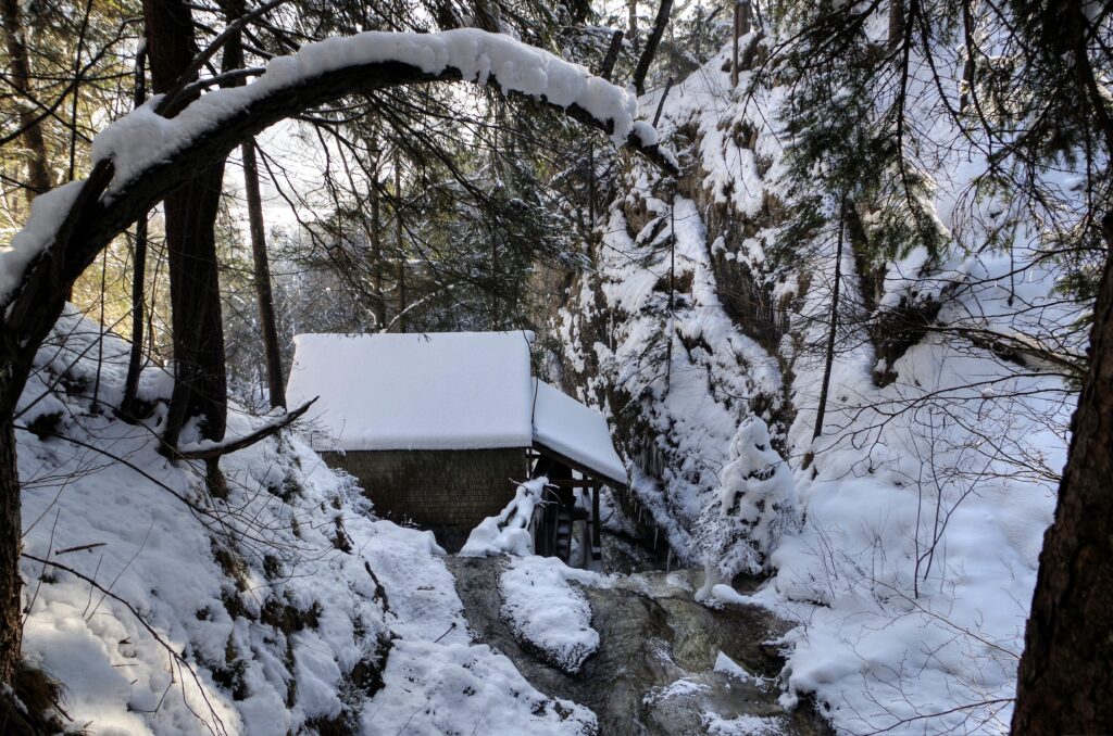 Rustic mill by flowing river in snowy forest winter landscape with soft sunlight and tall trees Wallpaper