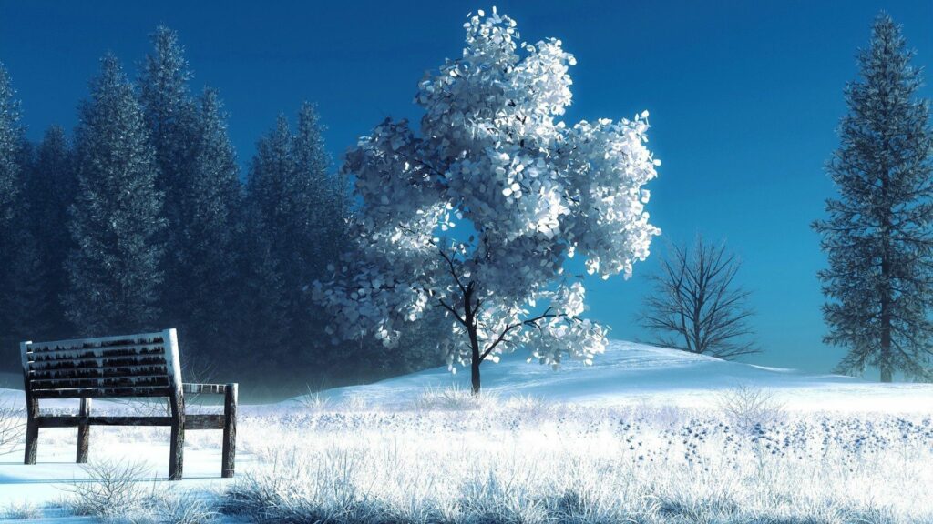 Snowy bench by frosty tree and pine trees under clear blue sky peaceful winter landscape wallpaper
