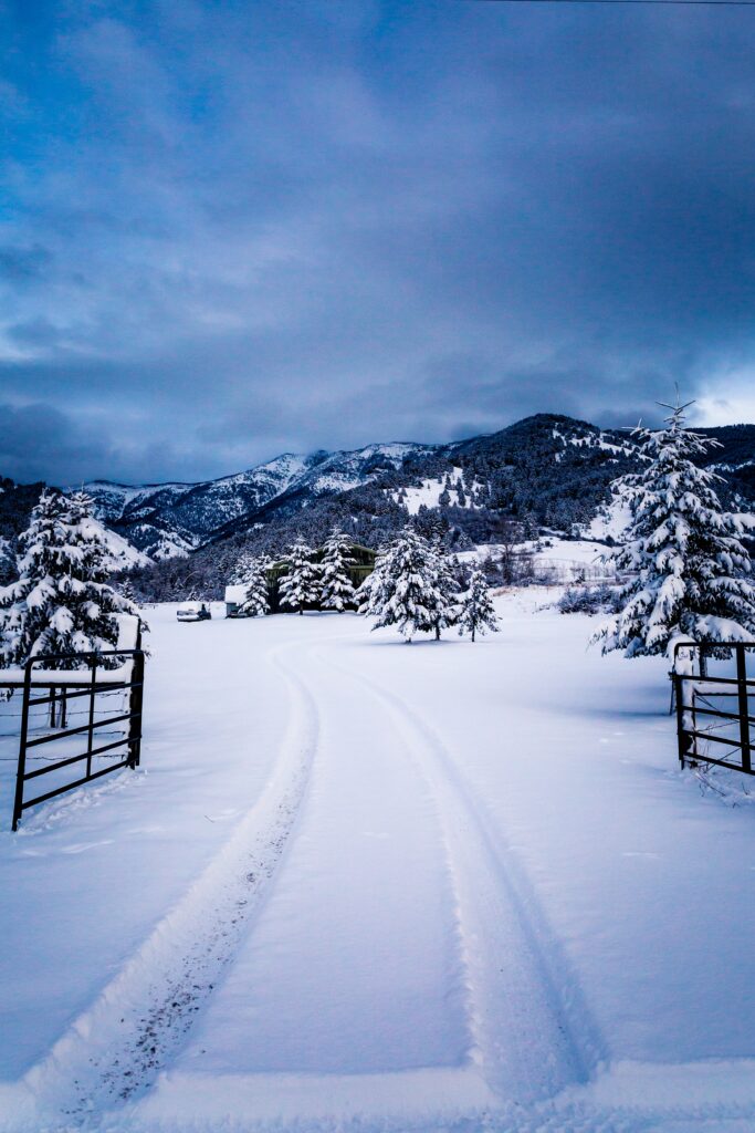 Snowy mountains and frosted trees with tire tracks in a peaceful winter landscape wallpaper