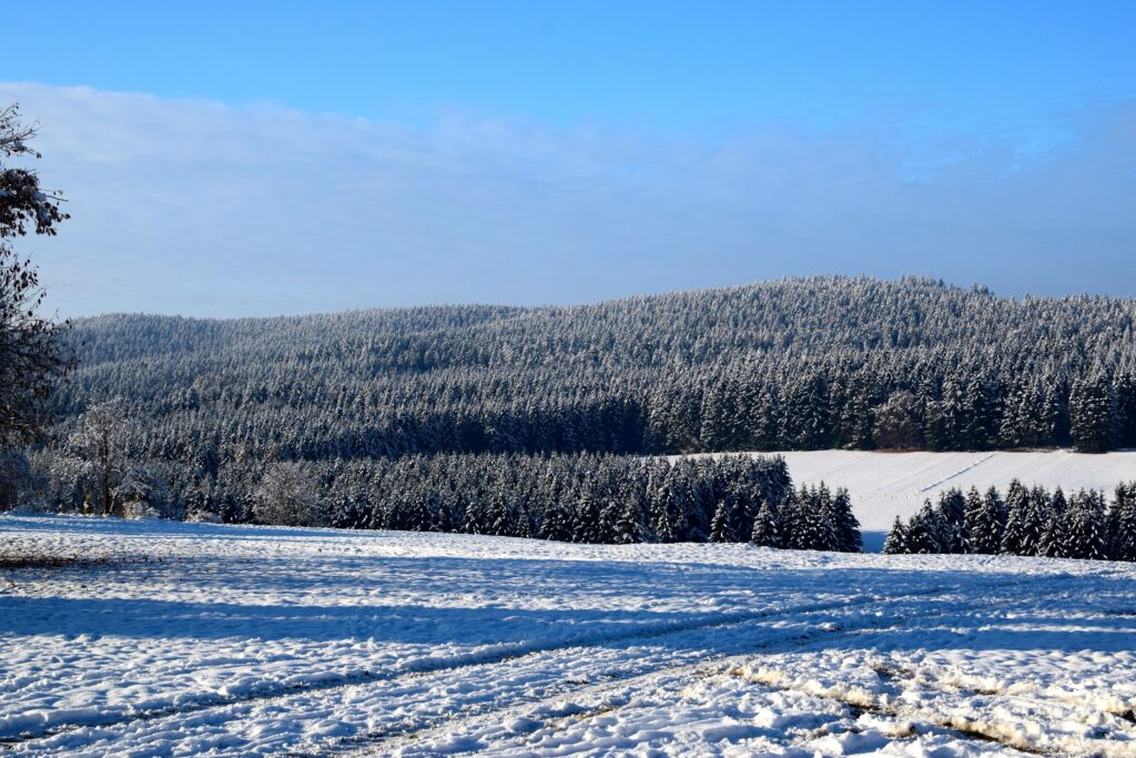 Serene winter landscape snowy field with frost covered trees under clear blue sky wallpaper