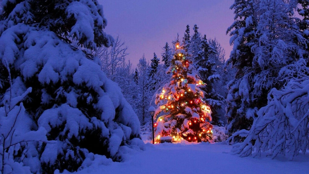 Serene Winter Landscape: Festive Christmas Tree in Snowy Bliss Wallpaper