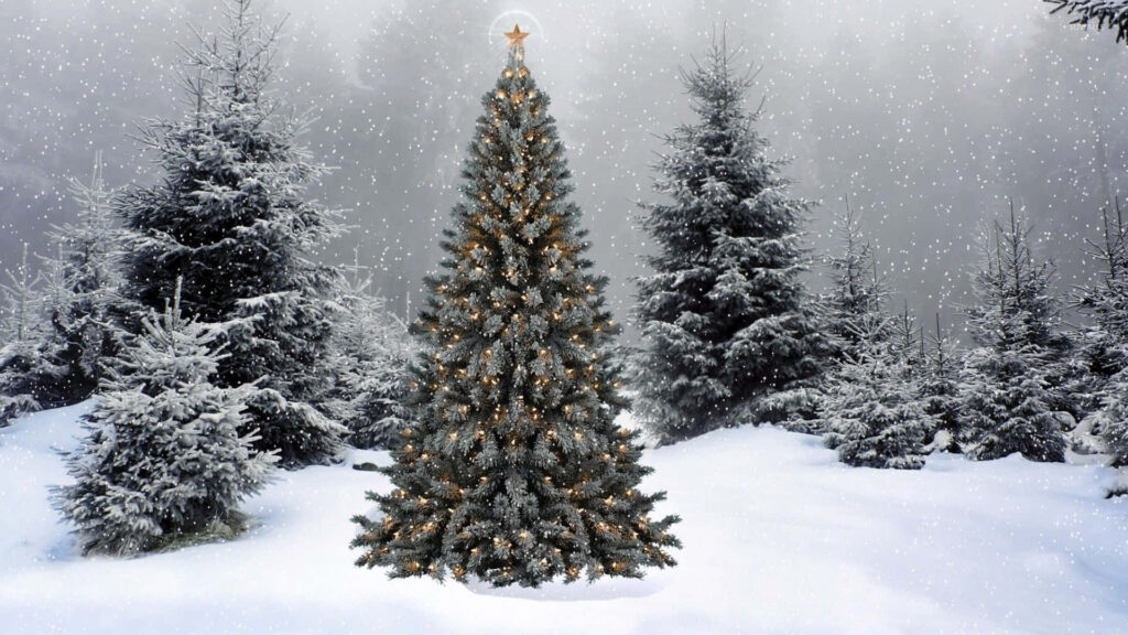 Serene Winter Wallpaper: Festive Christmas Tree in Snowy Landscape