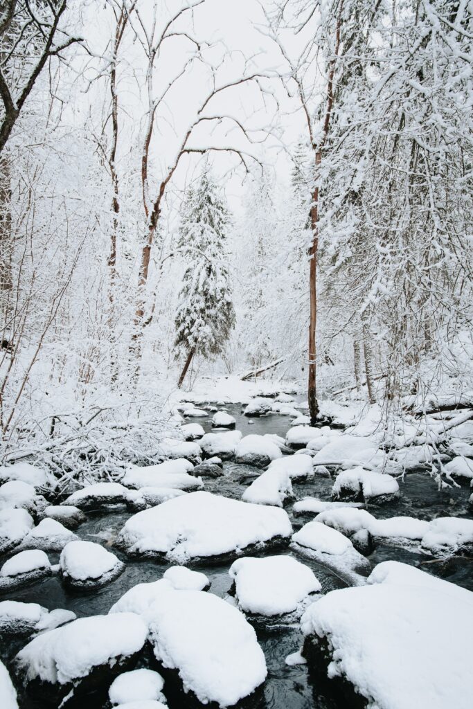 Serene winter landscape with flowing river snow-covered rocks and tall trees peaceful nature Wallpaper