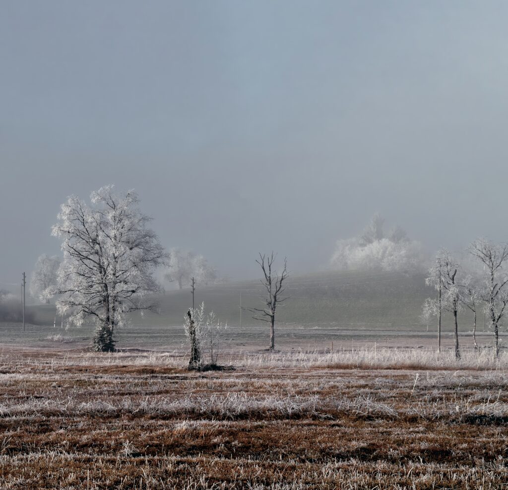 Serene winter landscape with frosty field leafless trees soft morning light foggy hills wallpaper background