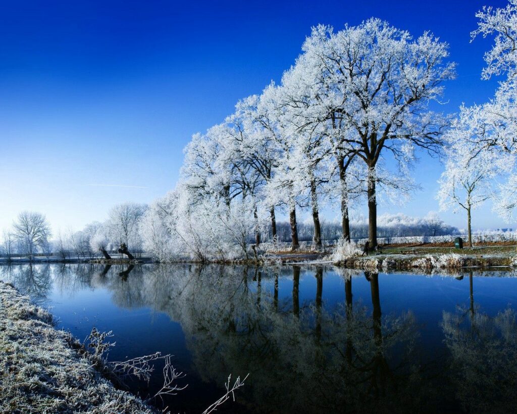 Serene winter landscape with hoarfrost trees and calm river reflecting clear blue sky wallpaper