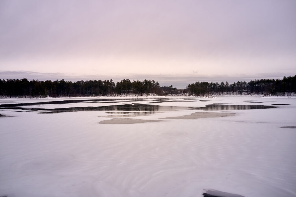 Serene winter wallpaper frozen lake snow-covered ground leafless trees overcast sky landscape