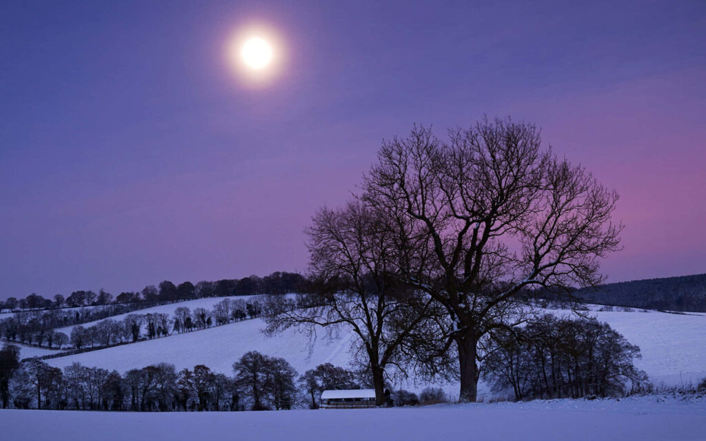 Serene Winter Landscape Wallpaper: Moonlit Snow & Purple Sky