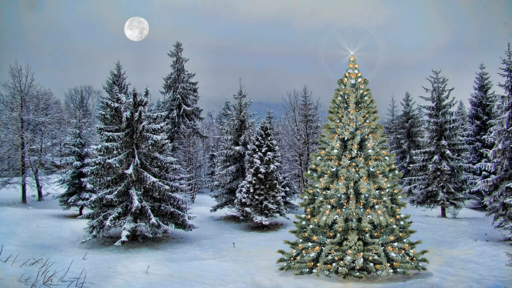 Moonlit Winter Wonderland: Snowy Landscape & Festive Christmas Tree Wallpaper