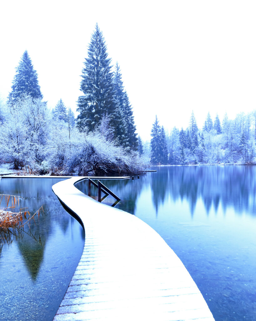 Winter landscape with winding pier over calm lake surrounded by snow-covered spruces and trees Wallpaper