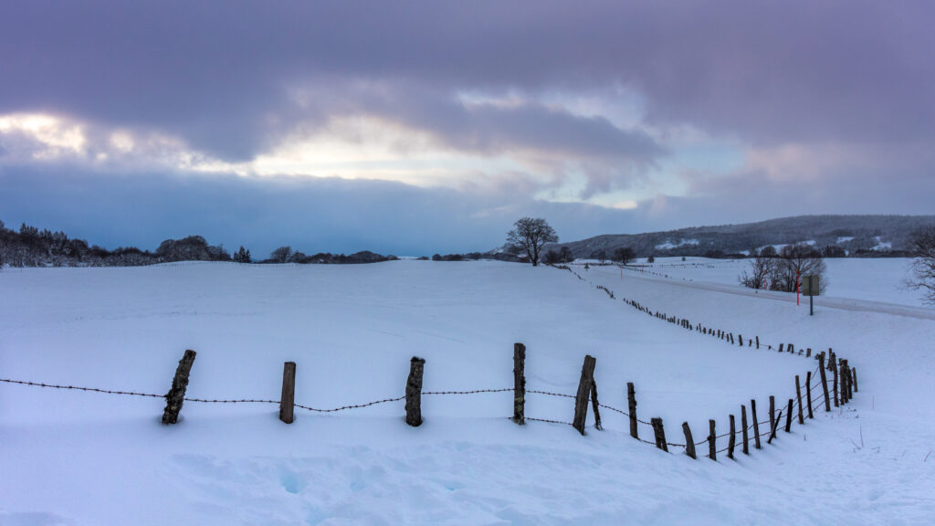 Winter landscape with snow field rustic fence leafless trees and soft violet blue sky background Wallpaper