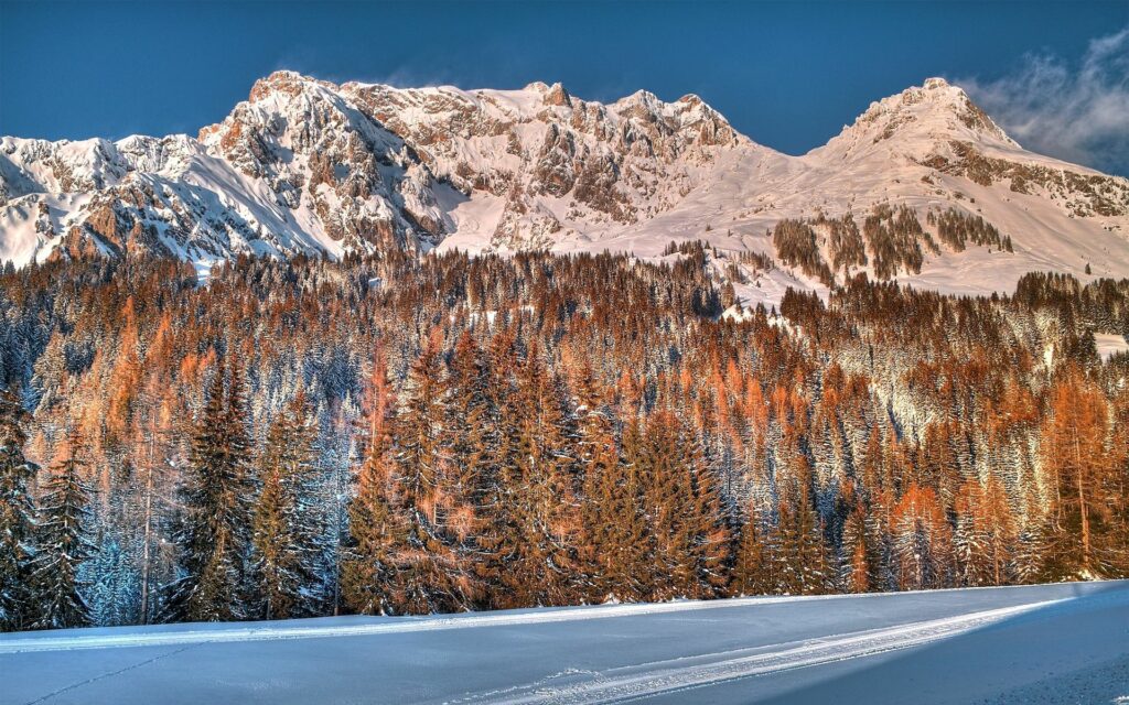 Winter landscape wallpaper with snow-covered trees and mountains under a clear blue sky