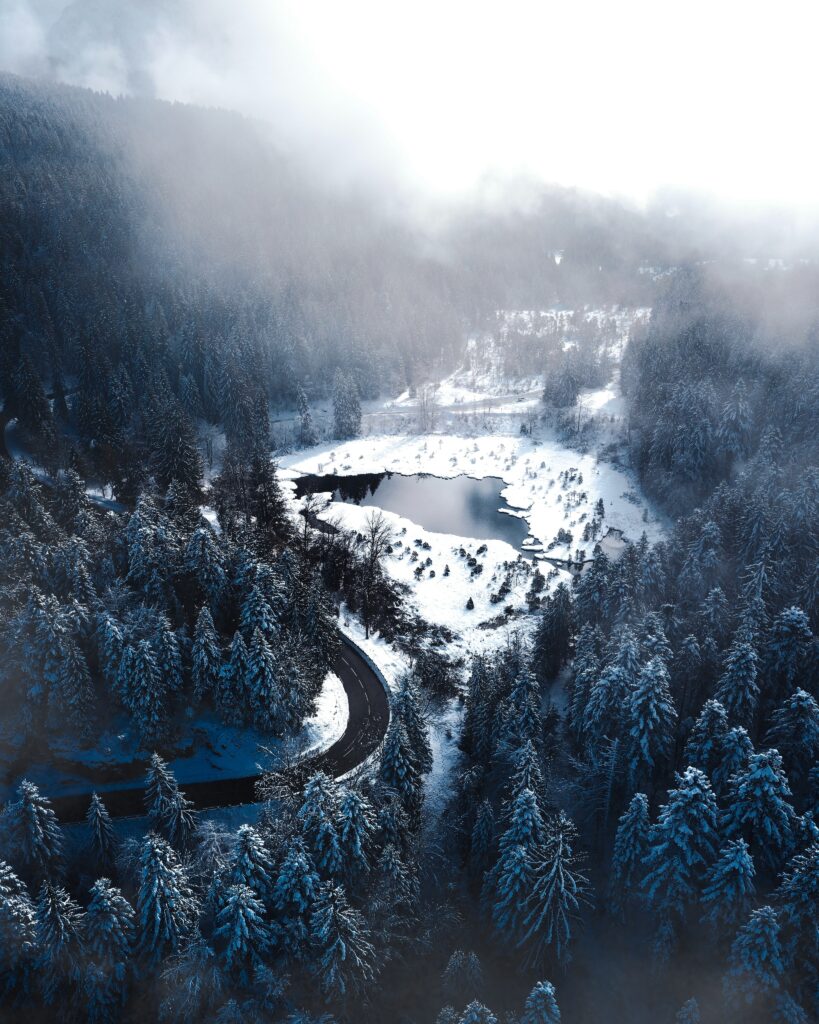 Serene winter landscape with snow-covered forest winding road and misty frozen lake background Wallpaper