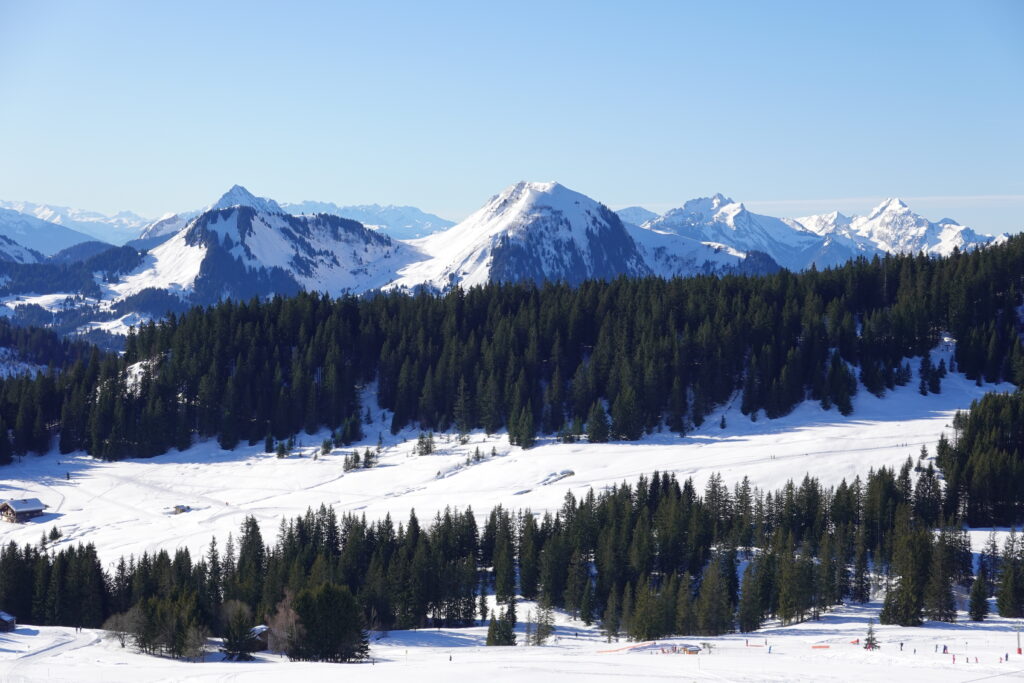 Aerial view of snow-covered mountains and dense pine forest under clear blue sky winter wallpaper