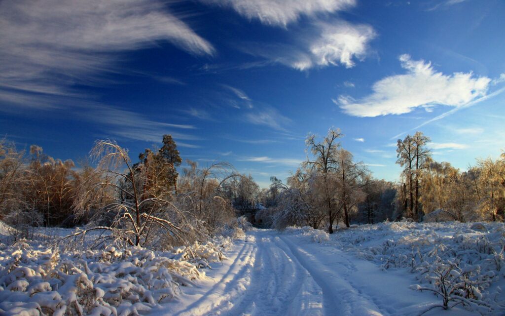 Serene winter landscape with snow-covered road winding through frosted trees under blue sky Wallpaper