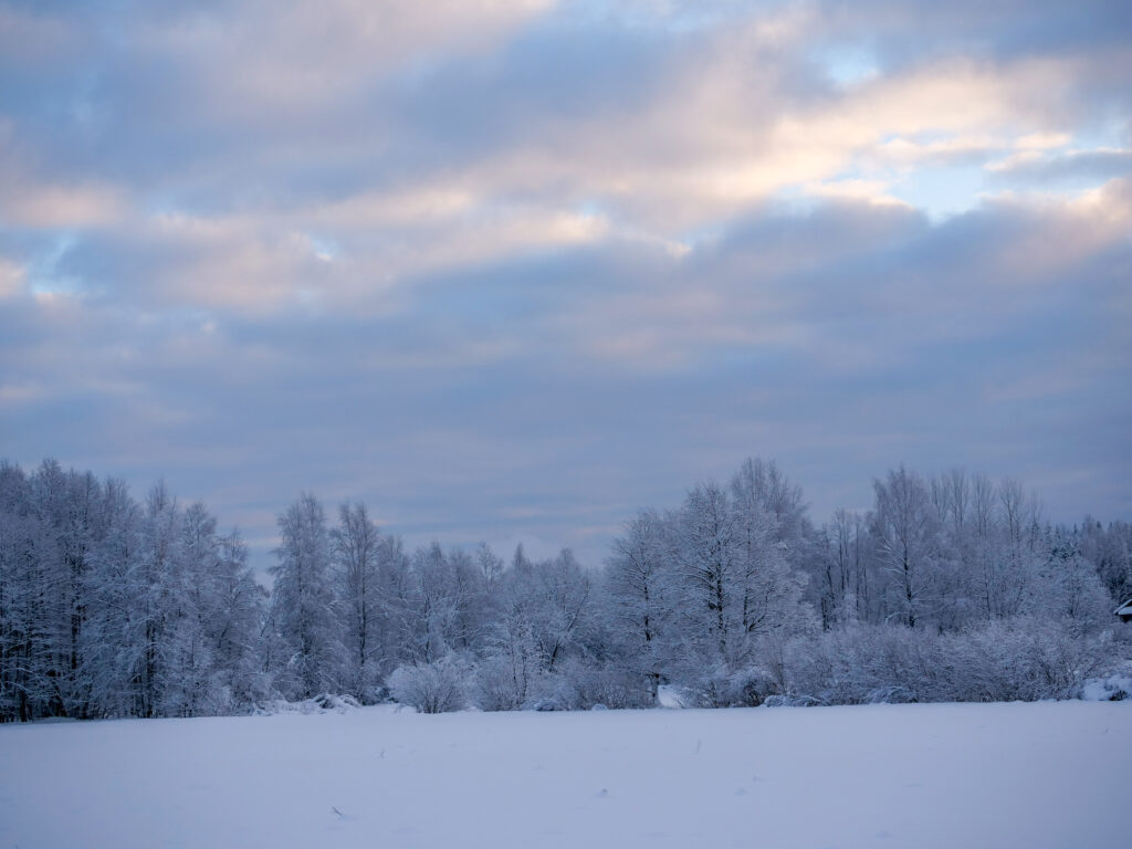 Serene winter landscape with snow-covered trees and cloudy sky in cool blue and white tones Wallpaper
