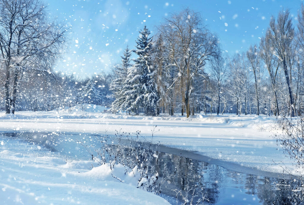 Serene Winter Landscape Wallpaper: Snow-Covered Trees & Frozen Lake