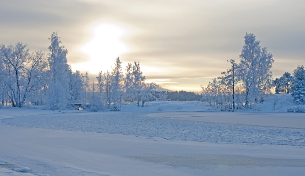 Serene winter landscape with snow-covered trees frozen river and glowing soft sky wallpaper