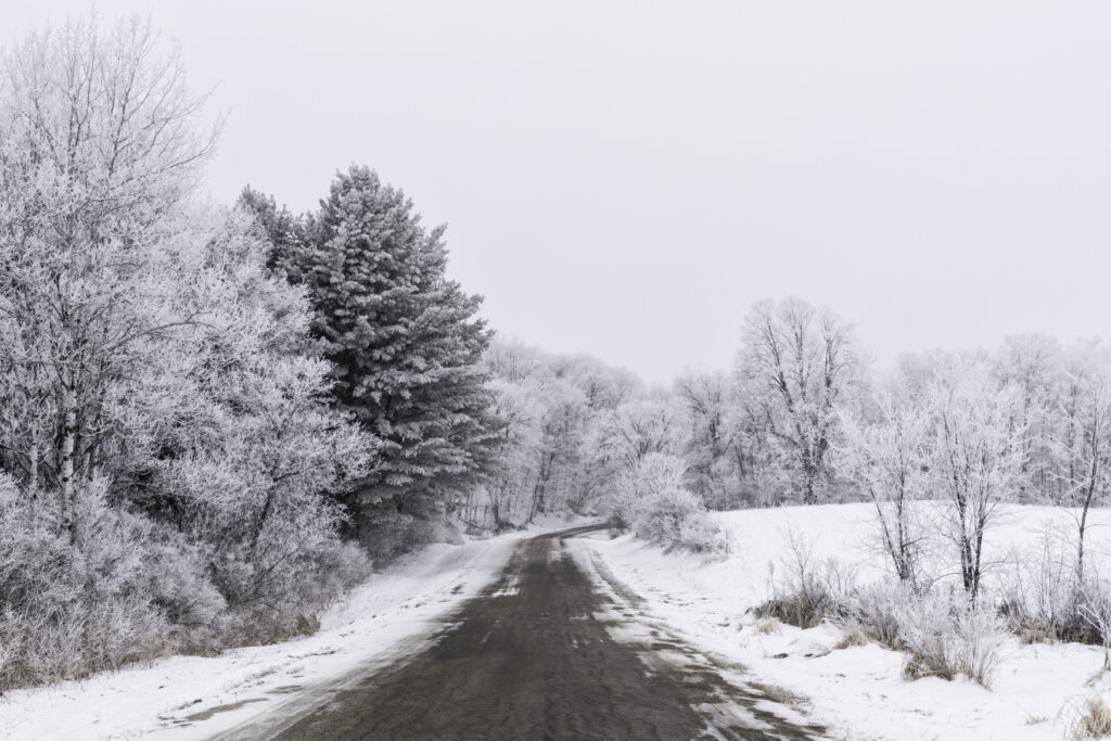 Serene winter road winding through snow-covered frosted trees peaceful snowy forest landscape Wallpaper