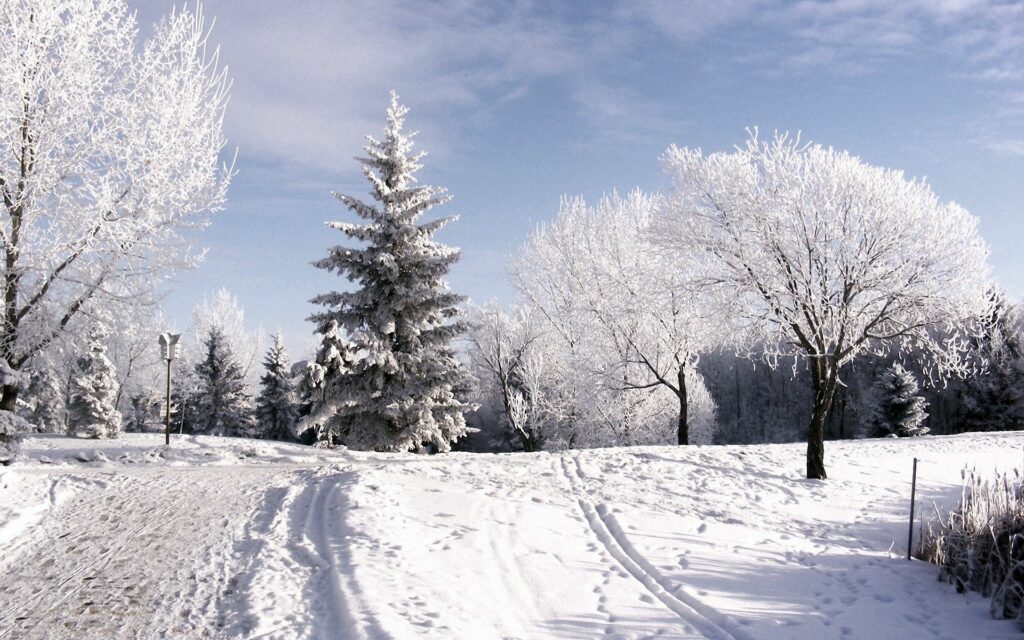 Snowy winter landscape with hoarfrost trees ski track under blue sky and soft clouds wallpaper