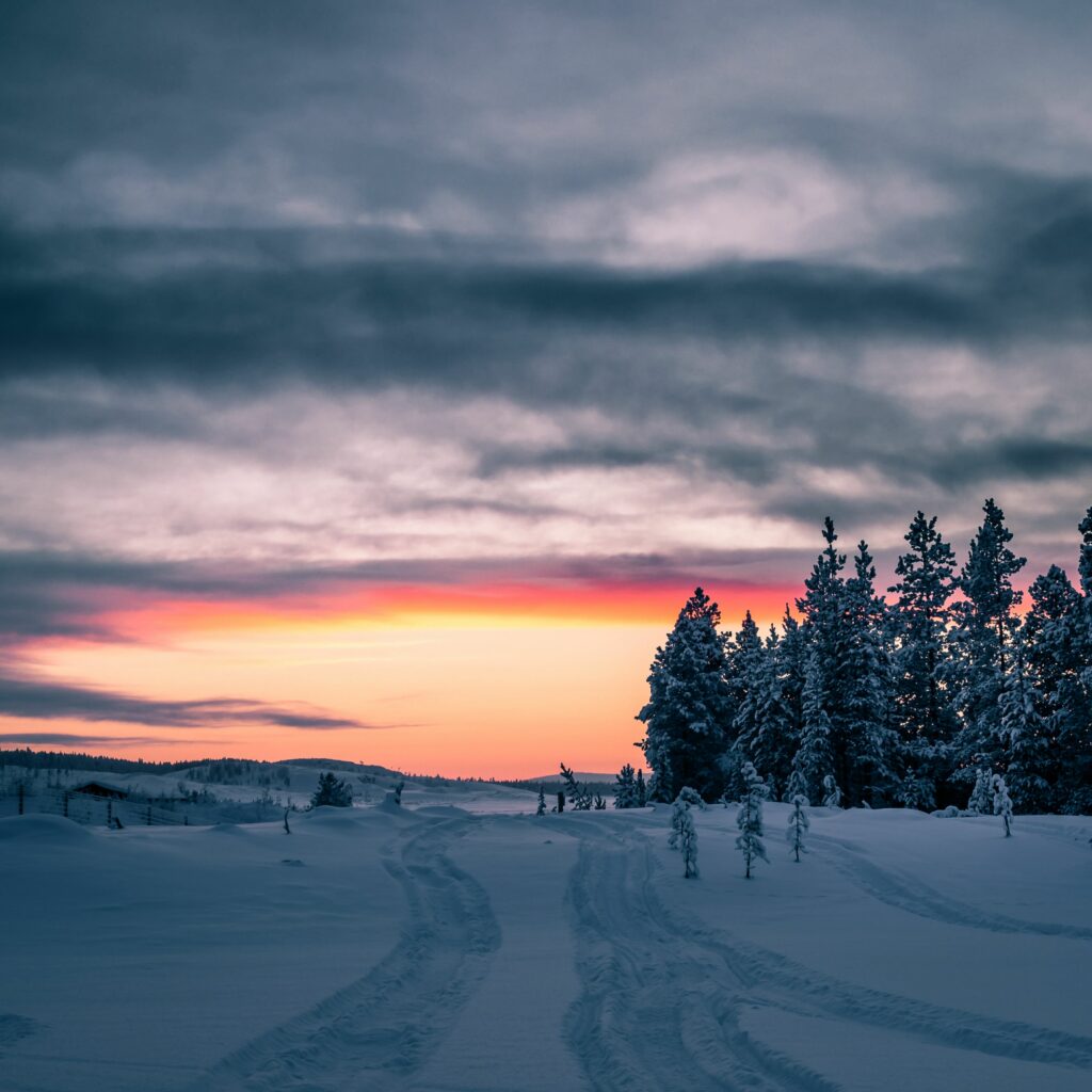 Serene winter landscape with snow-covered trees under vibrant orange pink sunset sky wallpaper background