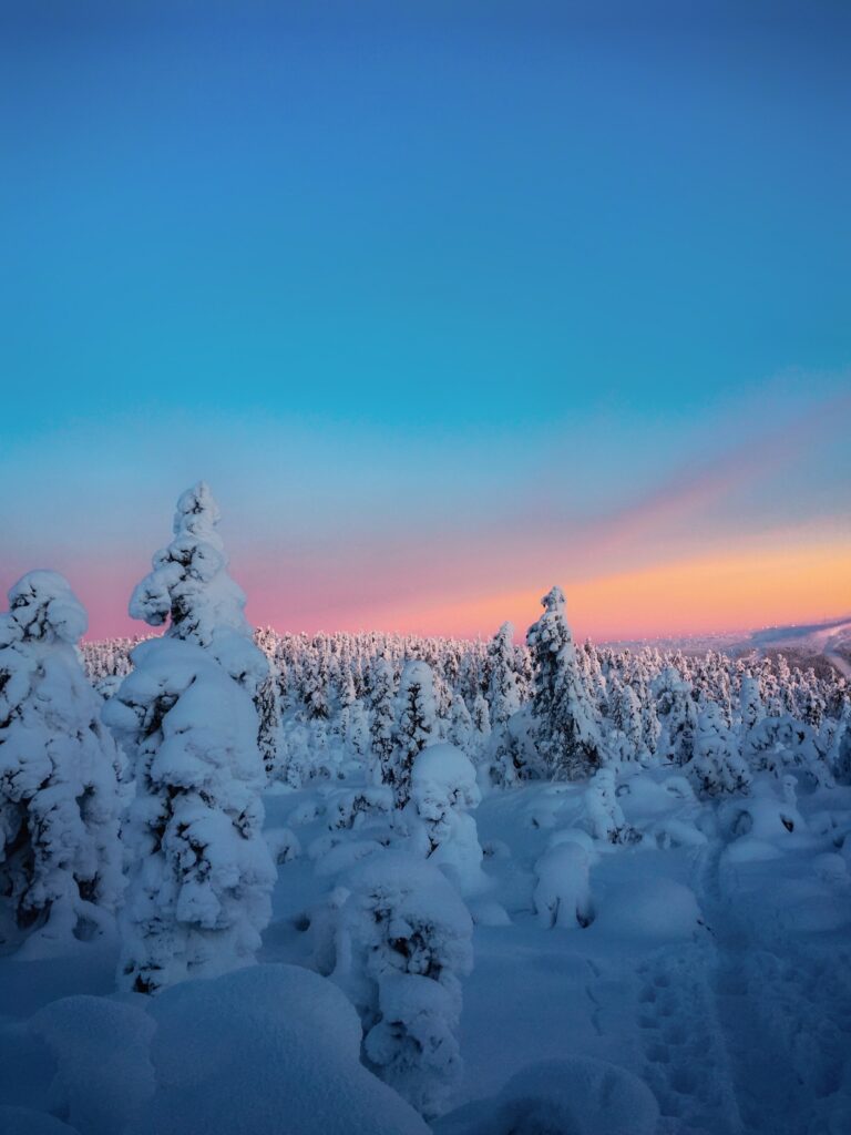 Serene winter landscape with snow-covered trees under a vivid icy blue and pink sunset sky wallpaper