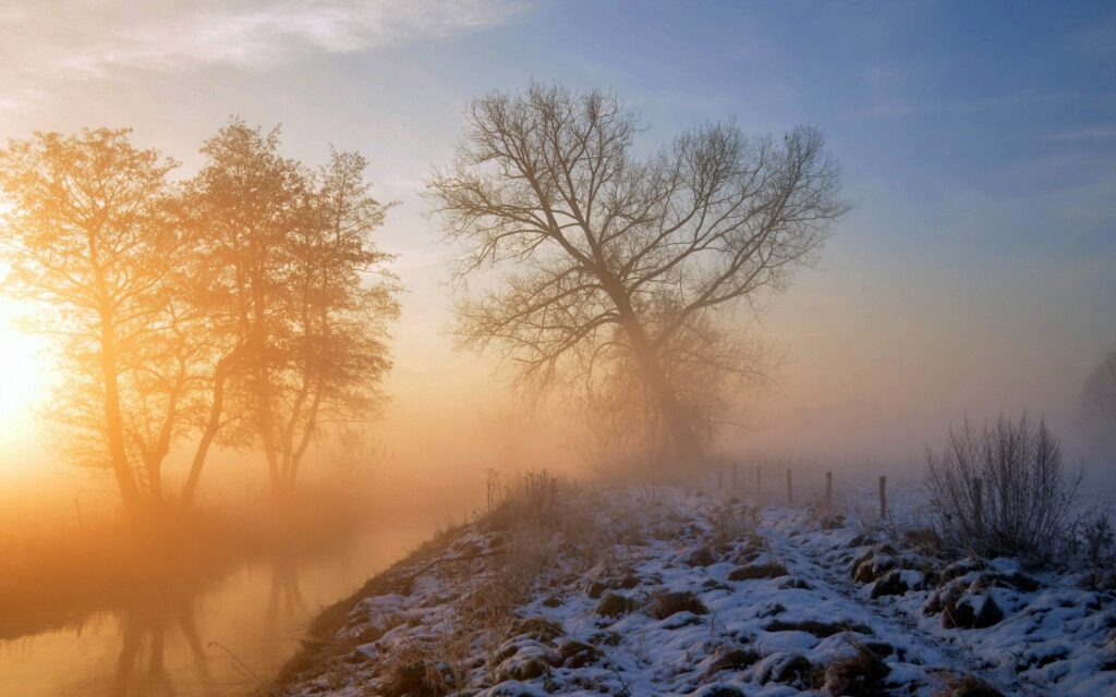 Serene winter landscape with snow-dusted grass bare trees and golden sunlight misty morning wallpaper