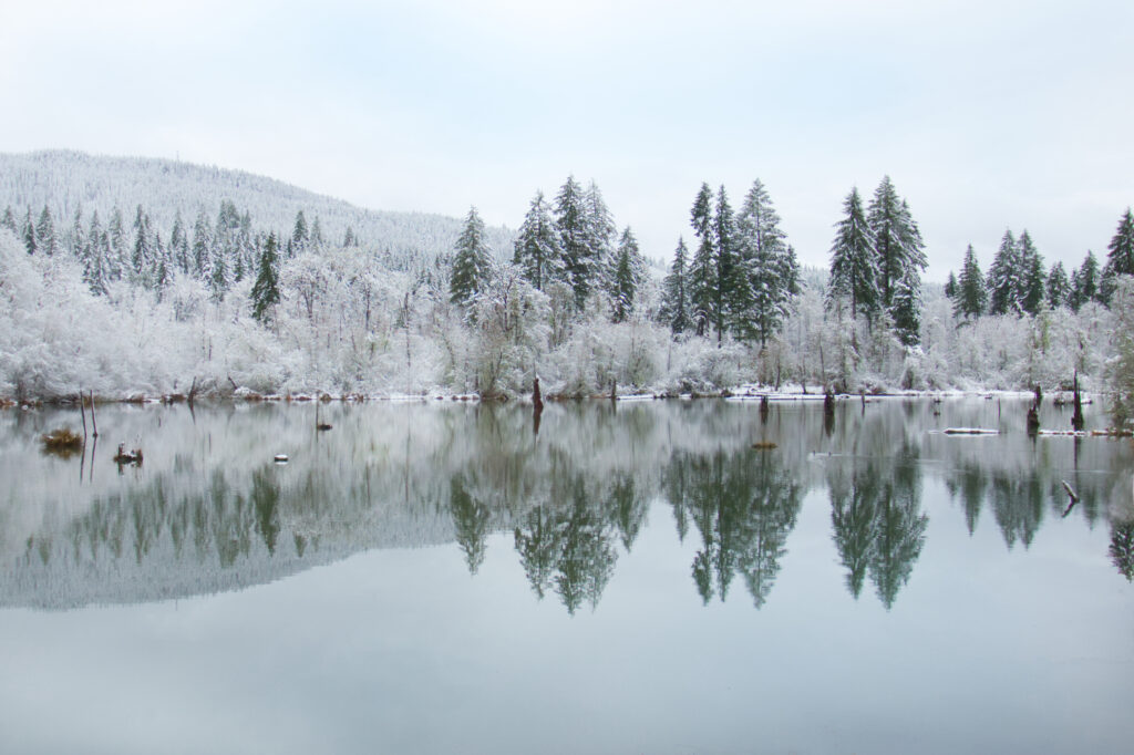 Serene winter landscape with snow-covered trees reflecting on calm lake perfect nature wallpaper