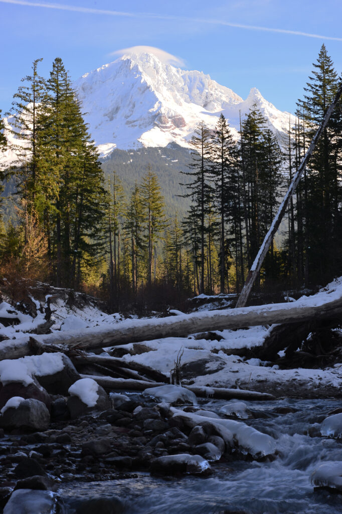 Serene winter landscape with snow-covered evergreens logs gentle stream and snow-capped mountain Wallpaper