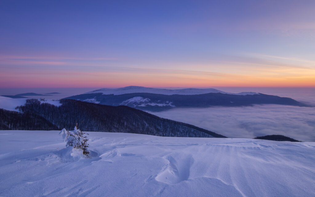 Snowy field with bush sunrise over rolling mountains peaceful winter landscape wallpaper background
