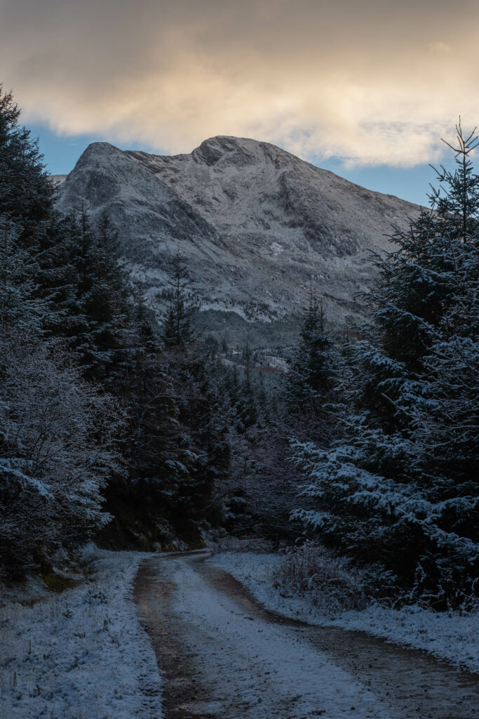 Winding snowy path through frosted trees toward a majestic mountain under a warm sunset Wallpaper
