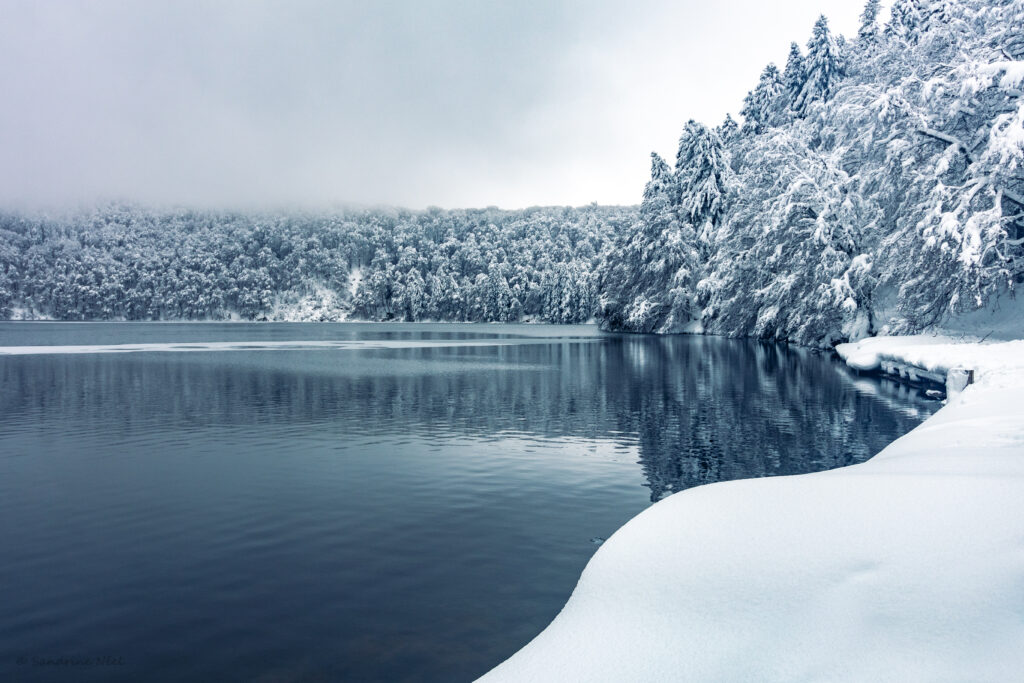 Serene winter landscape with snow-covered trees reflected in a calm lake and misty forest Wallpaper